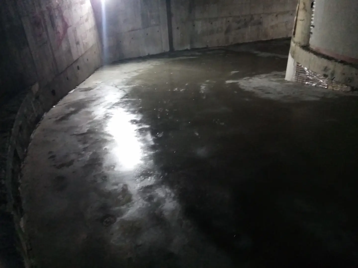 tikcet-e68133d99c2accb22a5934c6e593e140-IMG_20250205_111540